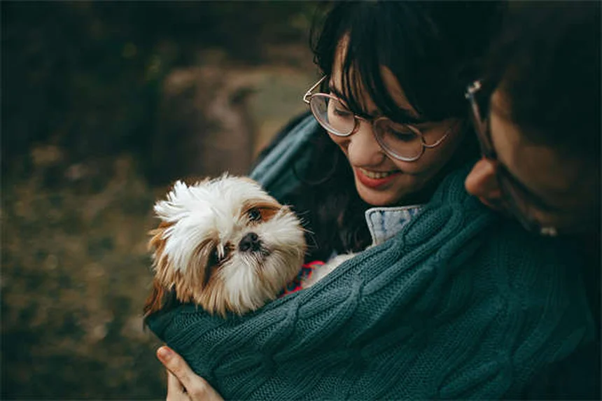 ペットの嫉妬って本当？9つのサインと対策法